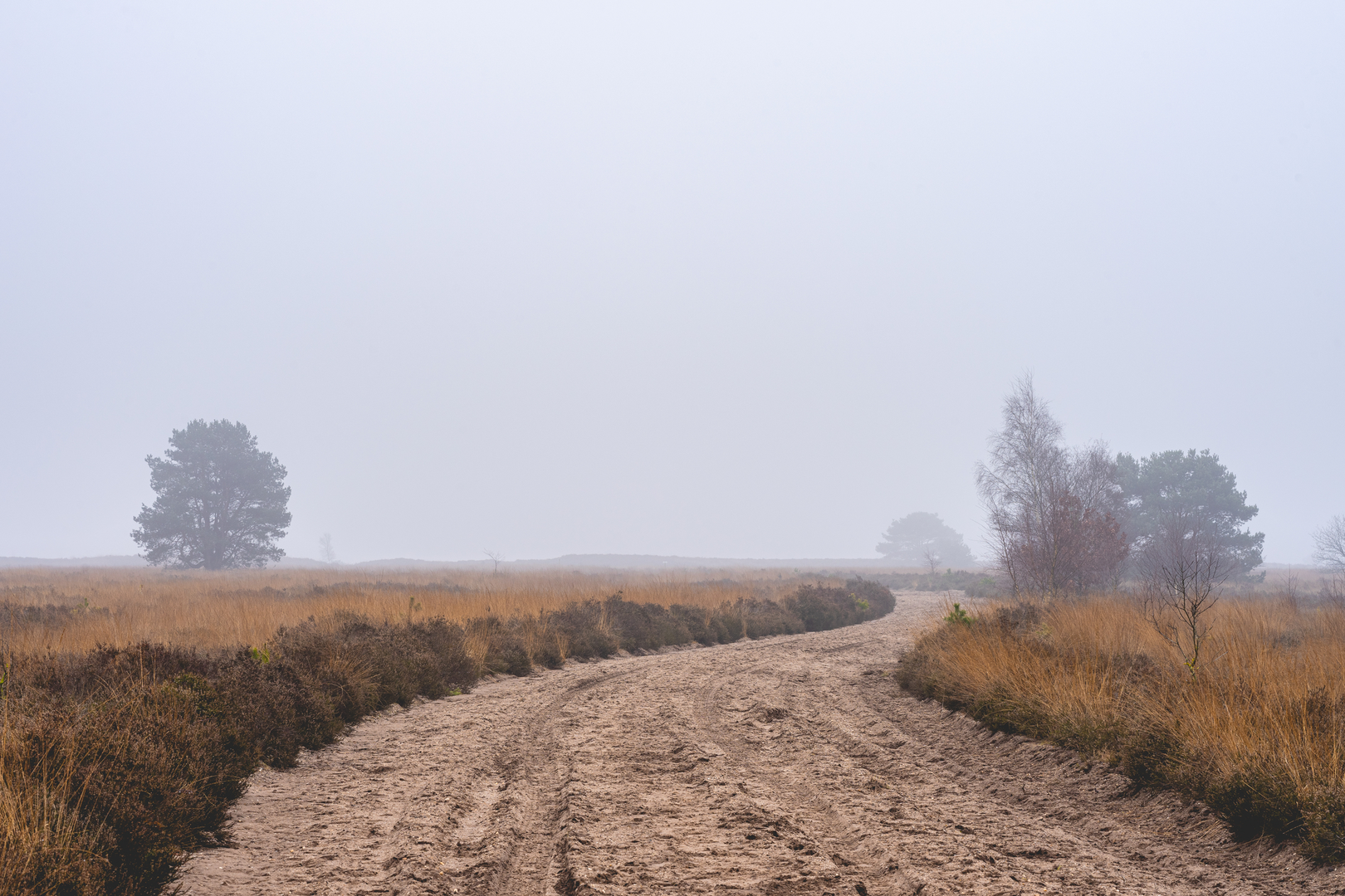 An image depicting the trail Leuvenhorst and De Zandmolen Loop and its surrounding area.