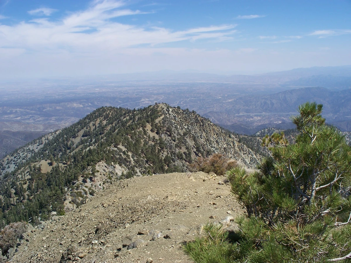 Telegraph Peak and Timber Mountain via Icehouse Canyon Trail