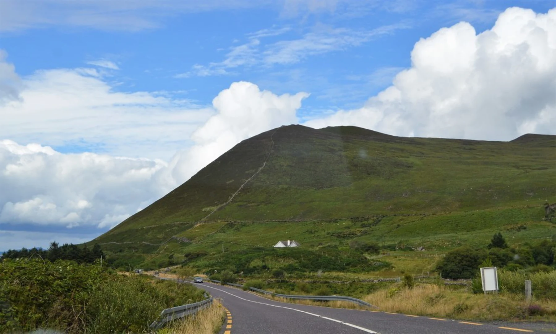 An image depicting the trail Mount Foley Walk and its surrounding area.