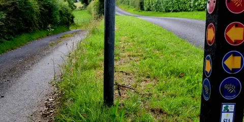 An image depicting the trail International Appalachian Trail and its surrounding area.