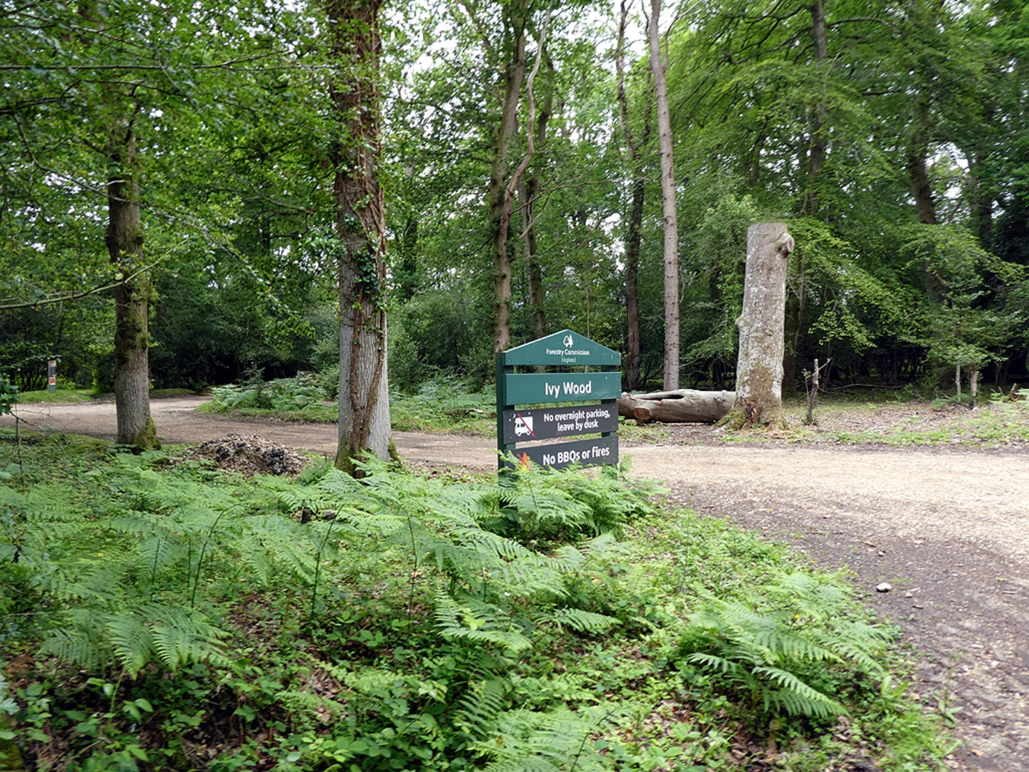 An image depicting the trail Perrywood Ironshill Inclosure Walk and its surrounding area.