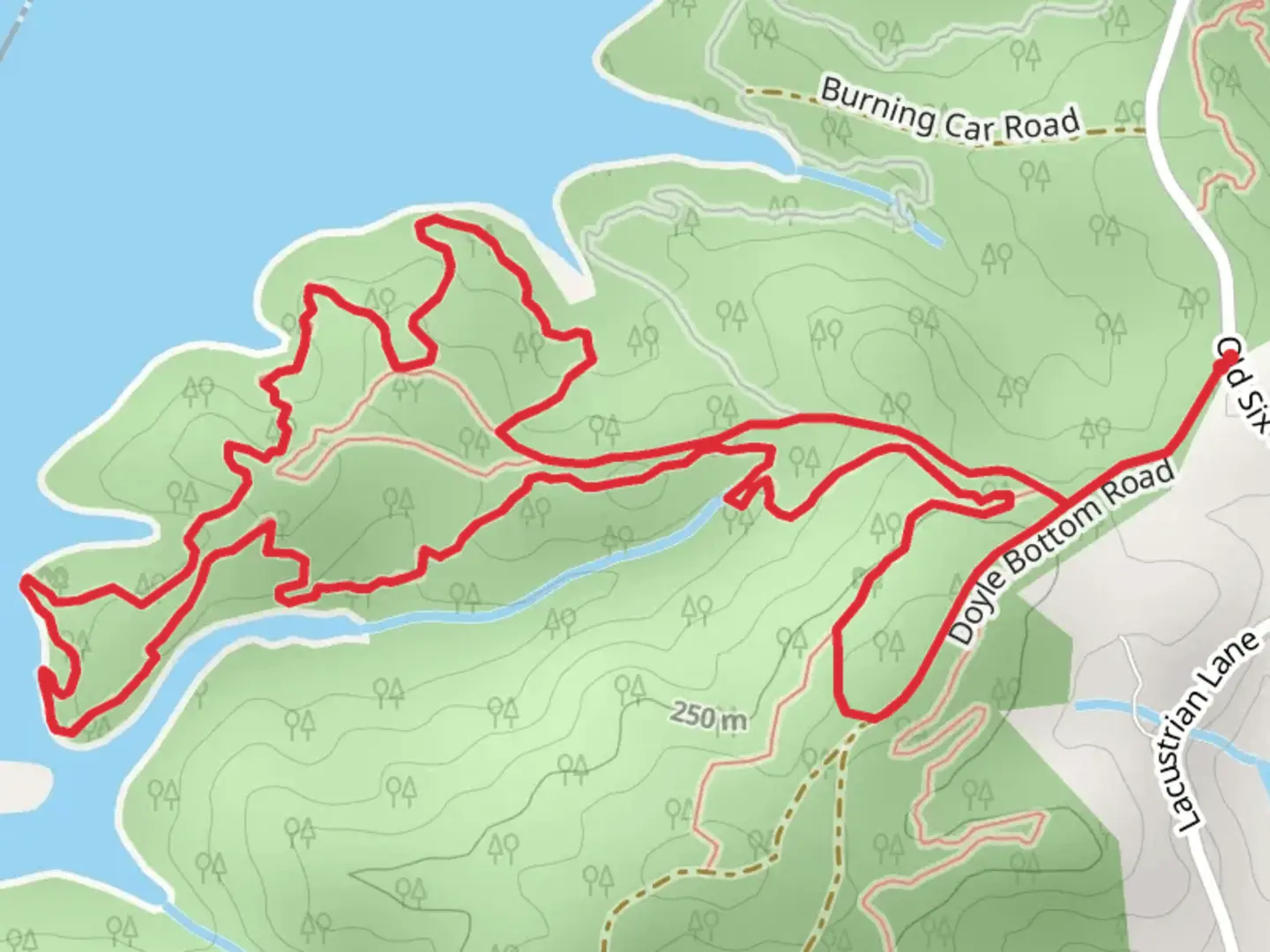 An image depicting the trail Double Fork Tree Loop Trail and its surrounding area.