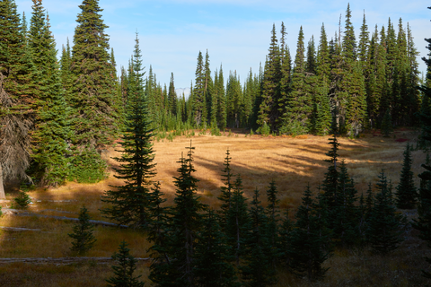 An image depicting the trail Killen Creek Trail and its surrounding area.