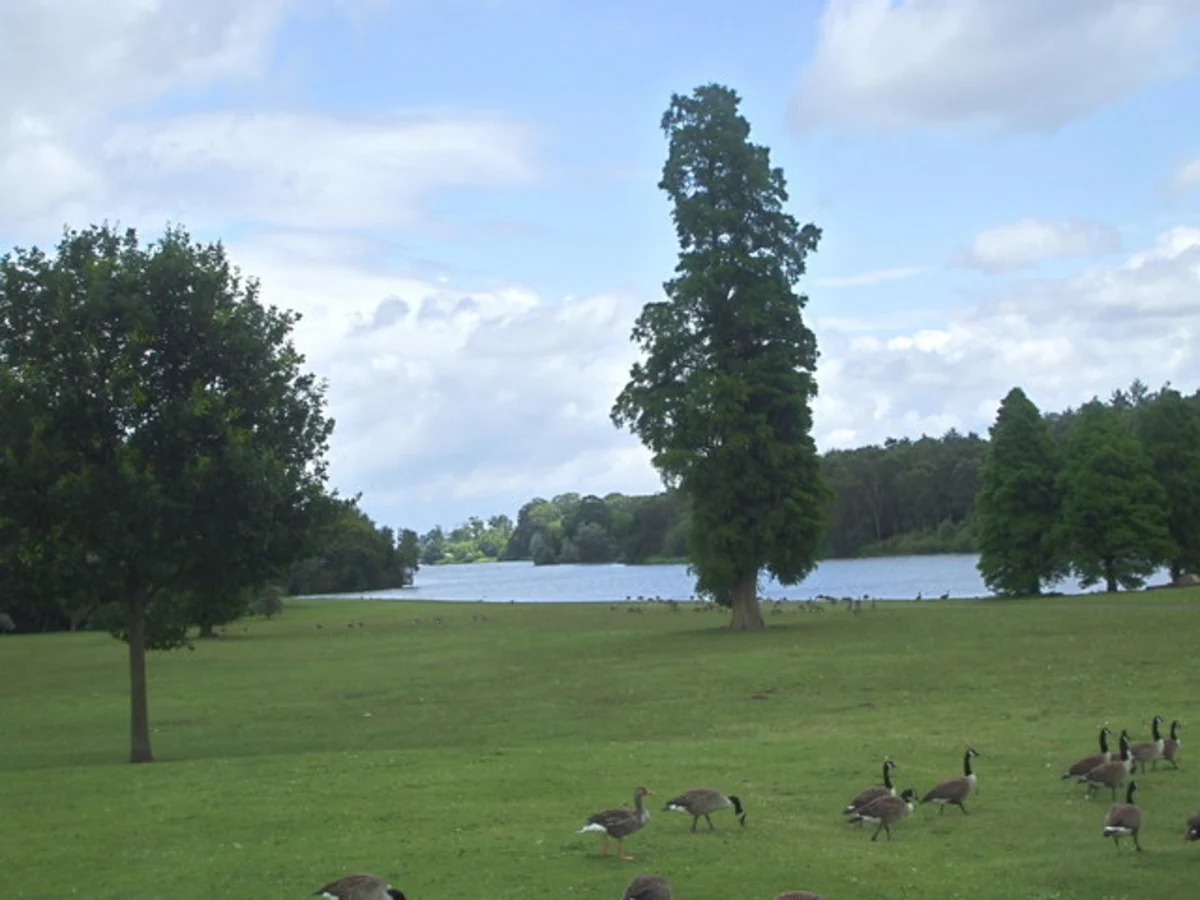 Clumber Lake via Robin Hood Way