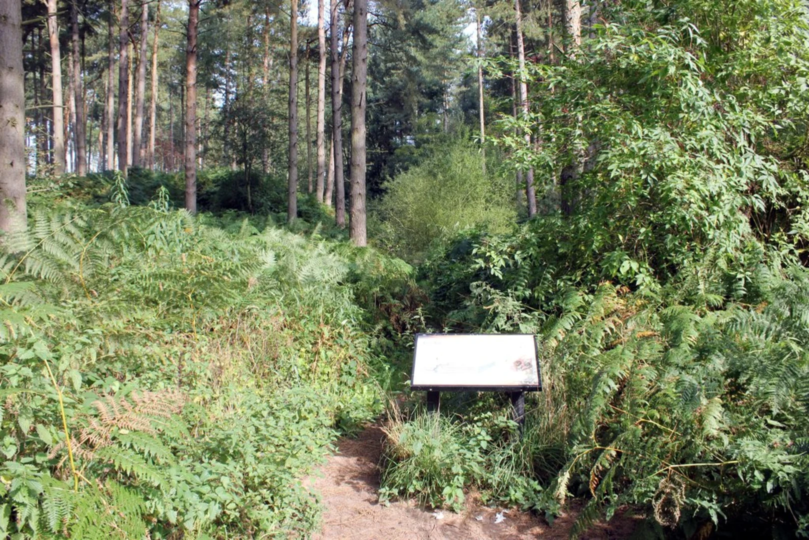 An image depicting the trail Utkinton Loop and its surrounding area.