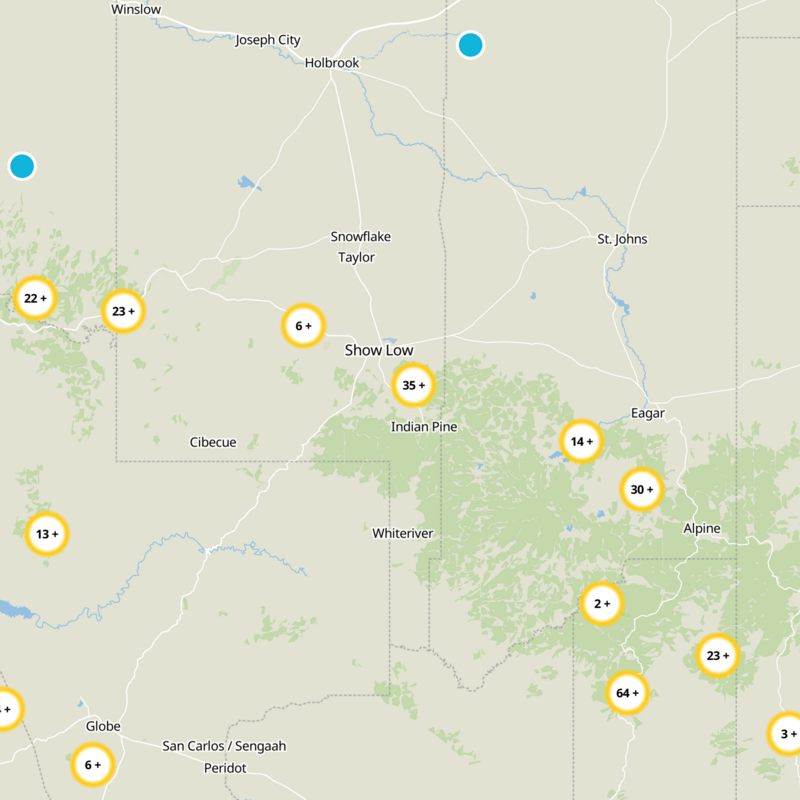 Pinetop-Lakeside Static Map