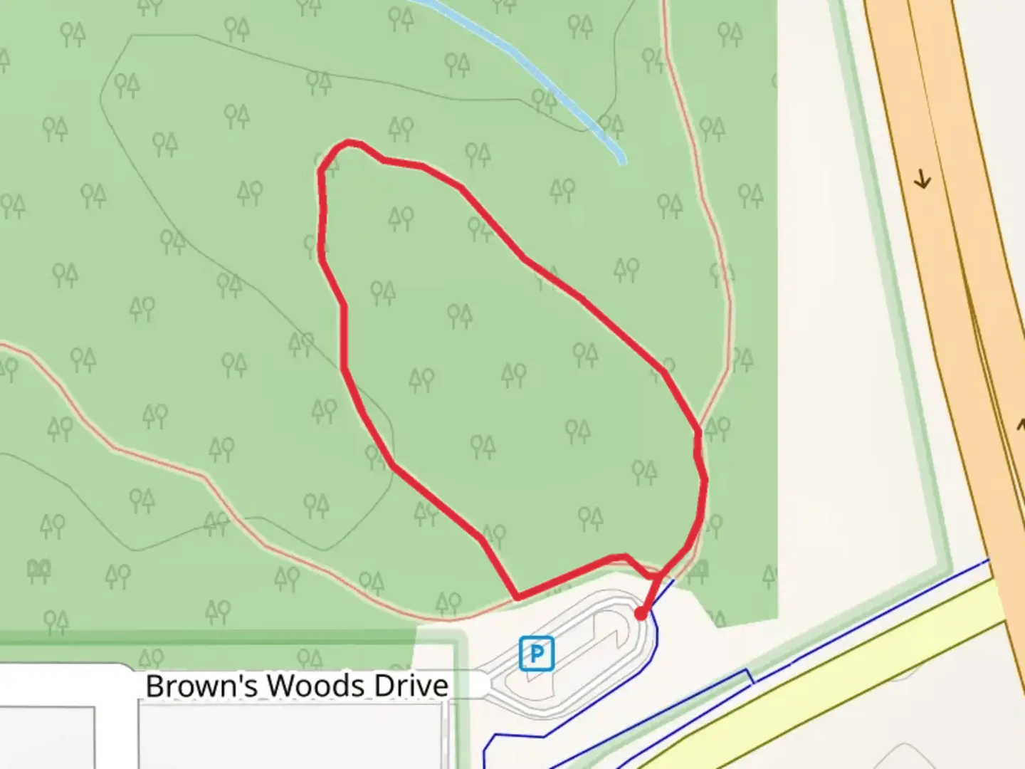 An image depicting the trail Brown's Woods Drive Loop and its surrounding area.