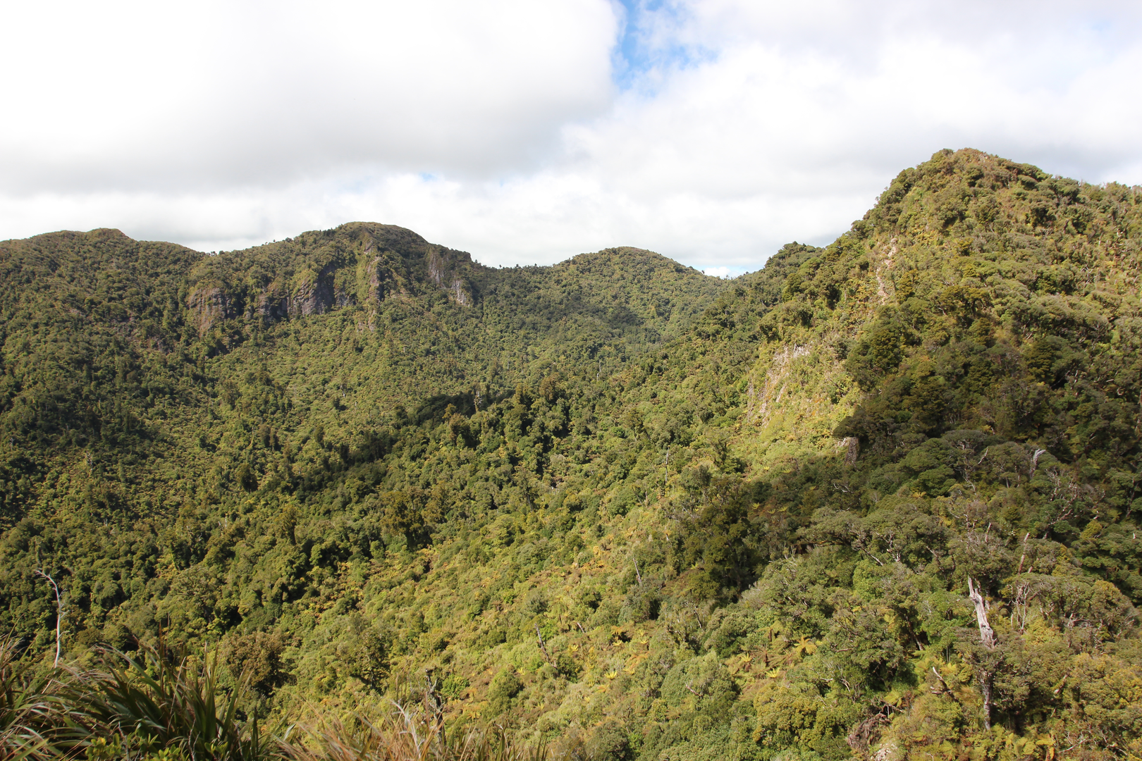 An image depicting the trail Pirongia Summit - Mahaukura Track and its surrounding area.