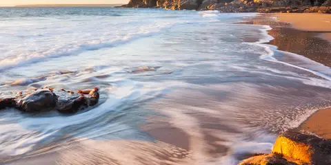 An image depicting the trail Rinsey Head - Butterflies and a Bishop Walk and its surrounding area.