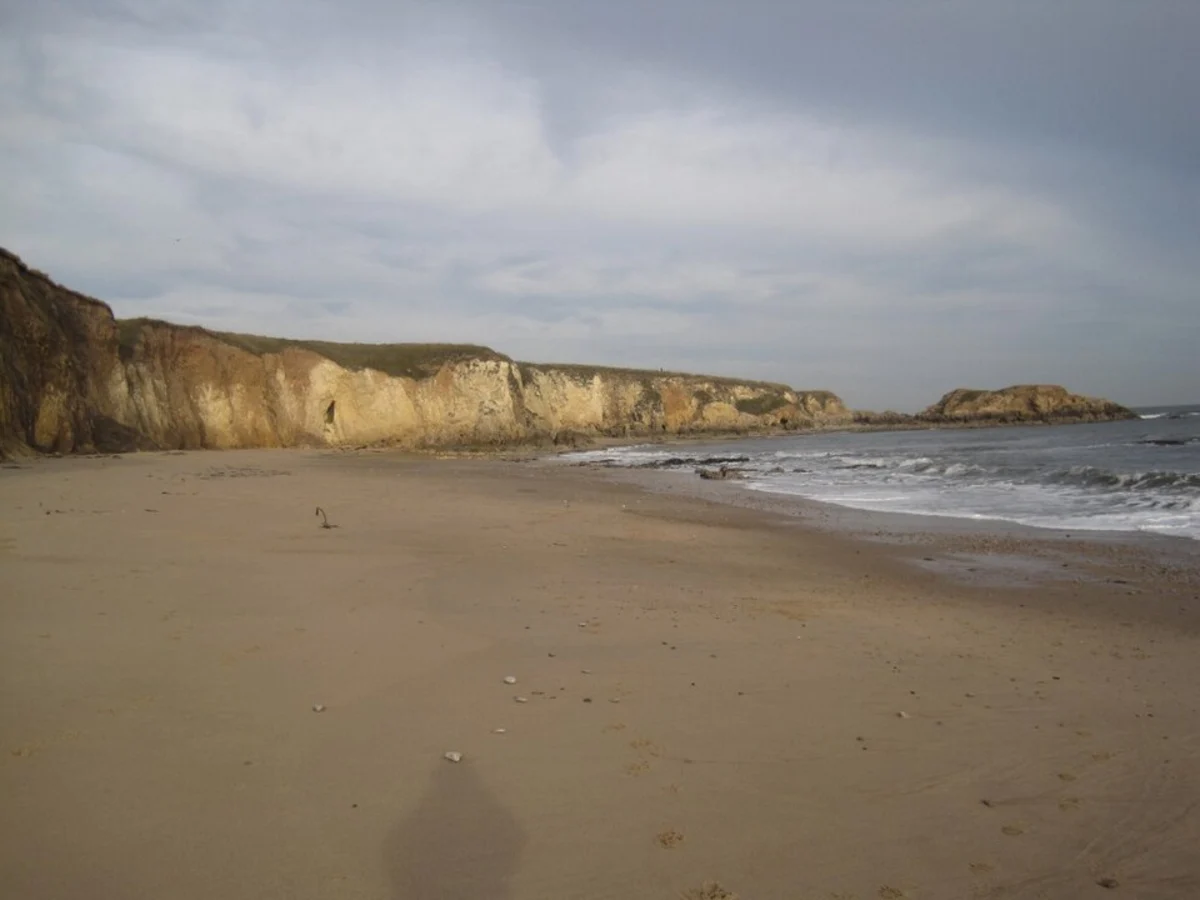 Sandhaven Beach to Sunderland Marina Walk