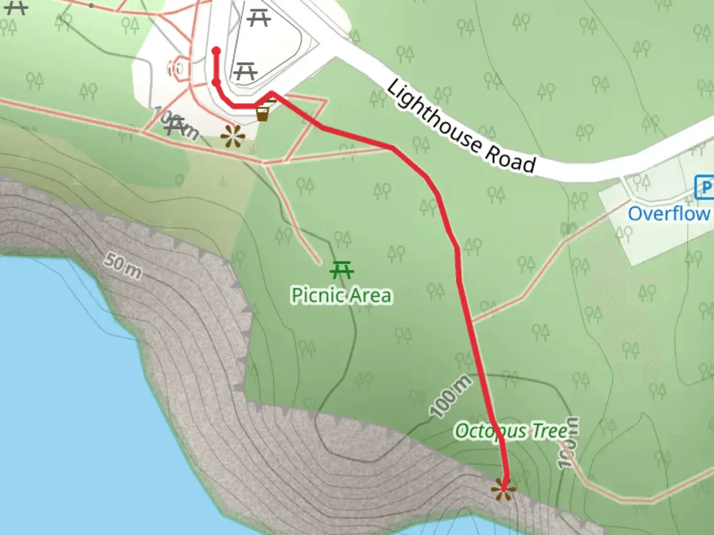 An image depicting the trail Lighthouse Road and its surrounding area.