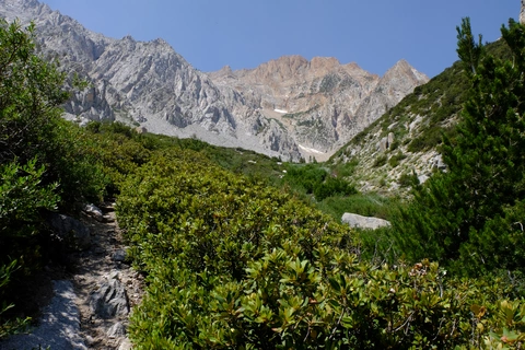 An image depicting the trail Taboose Pass Trail and its surrounding area.