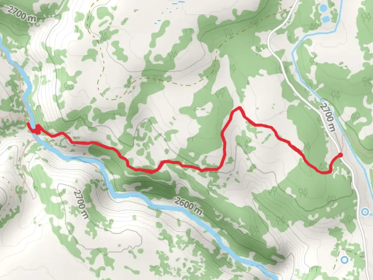 An image depicting the trail West Fork Black River from Conklin Spring Road and its surrounding area.