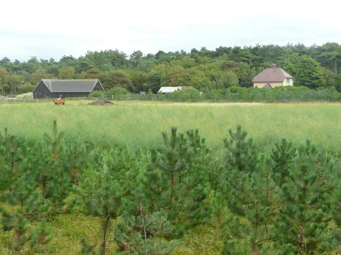National Trust - Formby Loop