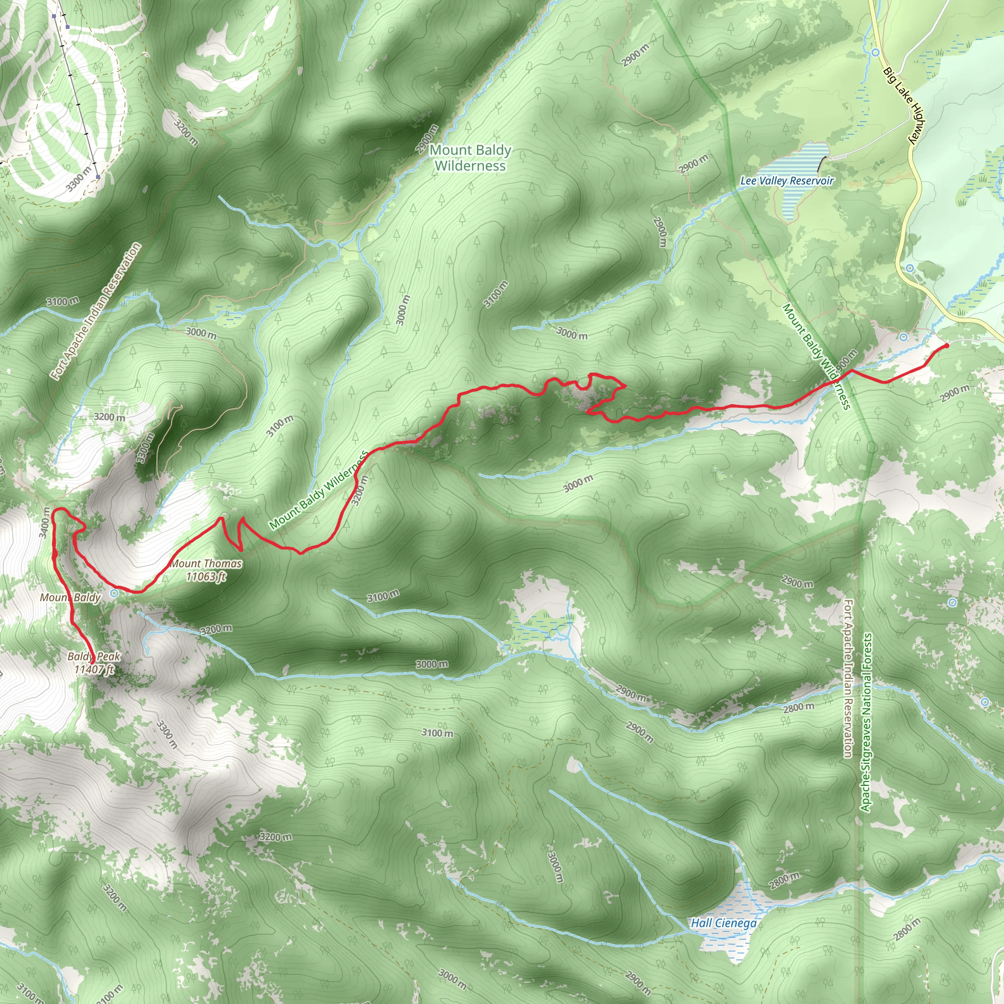 Baldy Peak via East Baldy Trail - 95 mobile static map