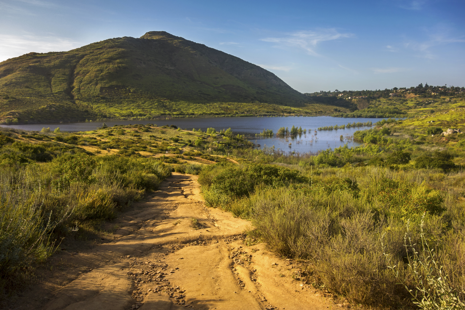 An image depicting the trail Lake Hodges South Loop and its surrounding area.