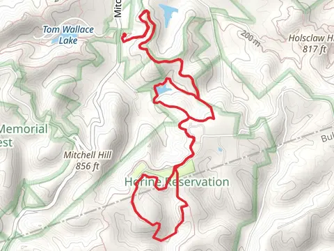 Yost Ridge, Mitchell Hill Lake and Orange Loop Trail