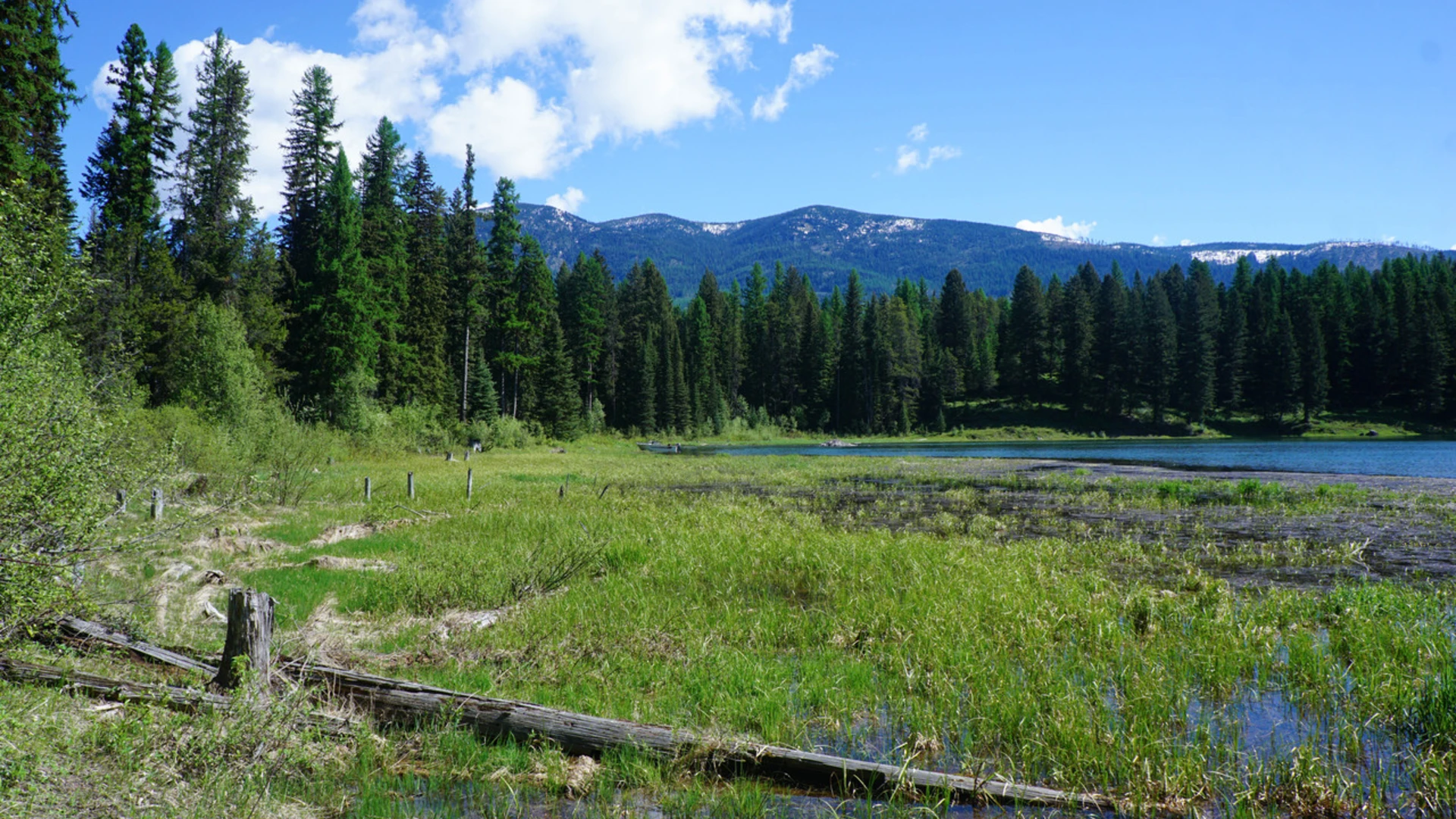 An image depicting the trail Lagoni Lake Trail and its surrounding area.