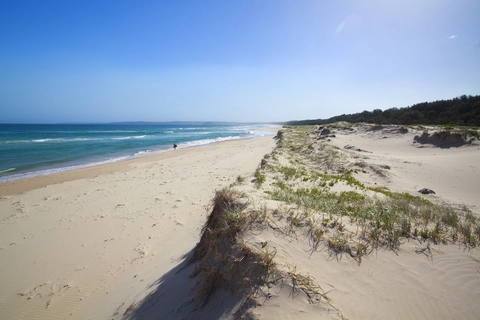 Burrawang Track - Conjola Beach to Buckleys Point