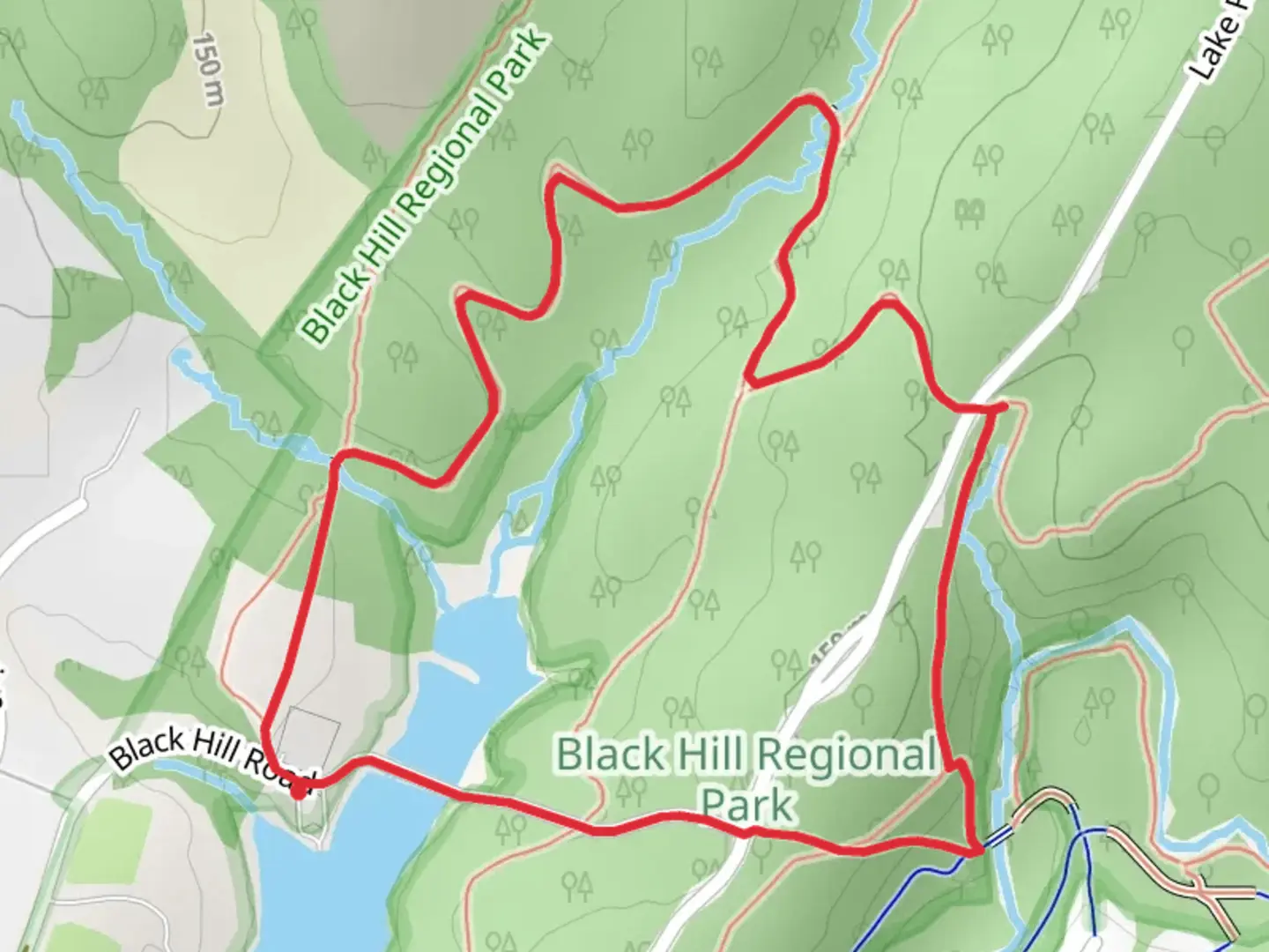 An image depicting the trail Cabin Branch Trail and Hamilton Loop Trail and its surrounding area.