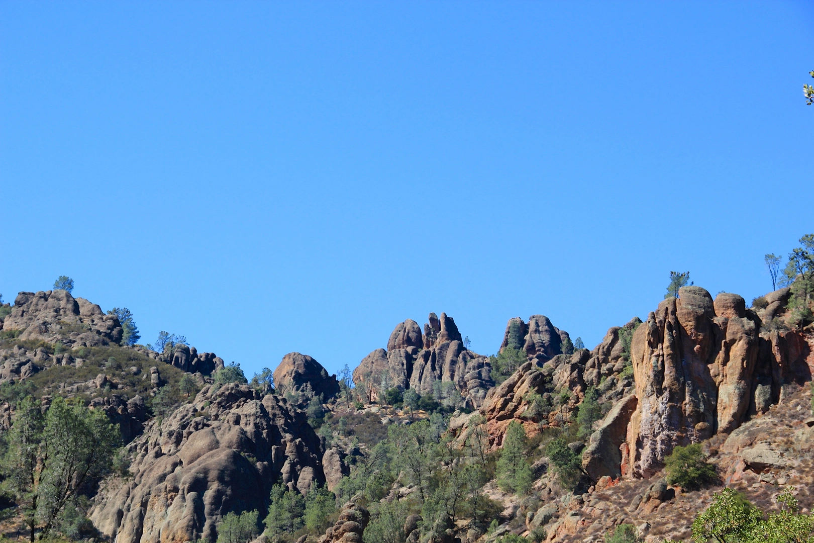 An image depicting the trail Condor Gulch Trail and its surrounding area.