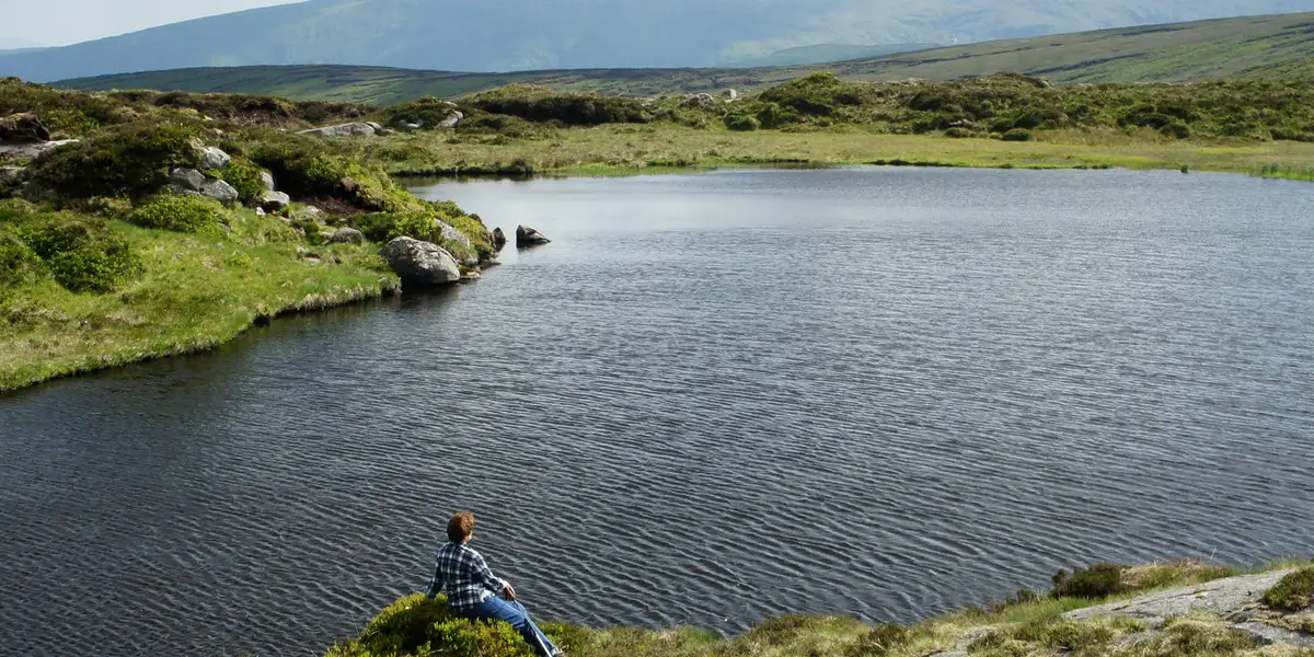 Lough Firrib - Arts Cross