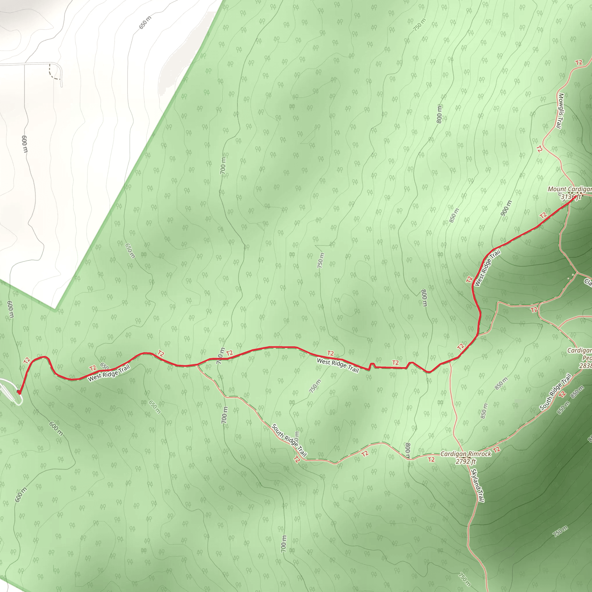Mount Cardigan mobile static map