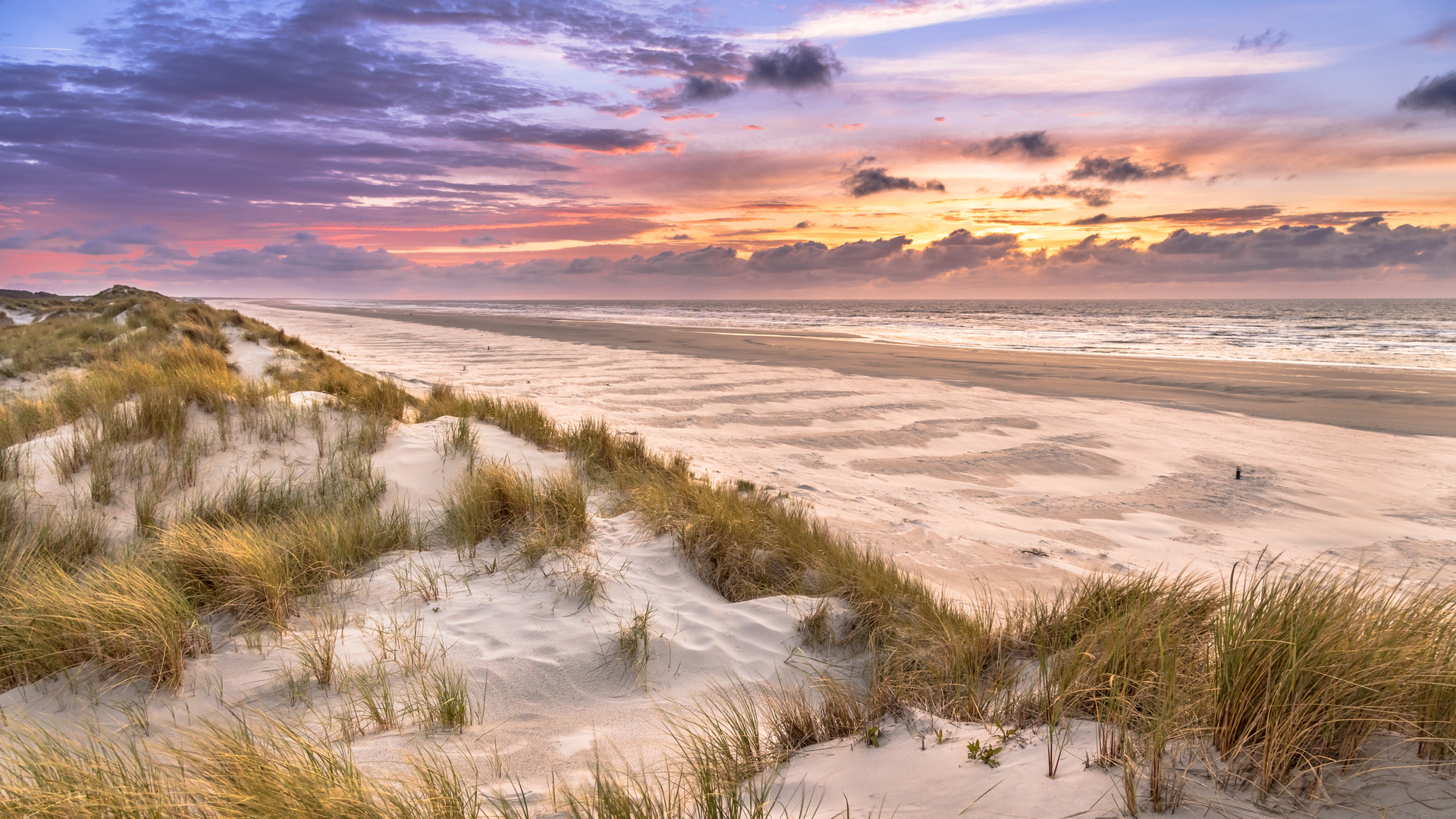 An image depicting the trail Recreatiegebied Stand De Cocksdorp in Duinen Van Texet and its surrounding area.