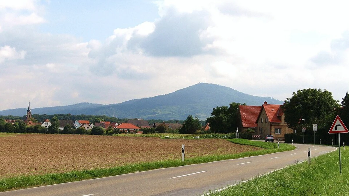 Schwanheimer Wald North Loop via Höllenweg