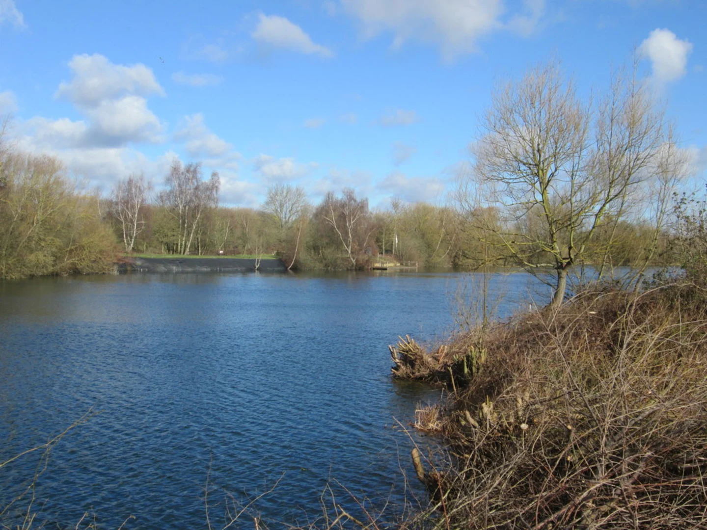 An image depicting the trail River Lee Country Park Walk and its surrounding area.