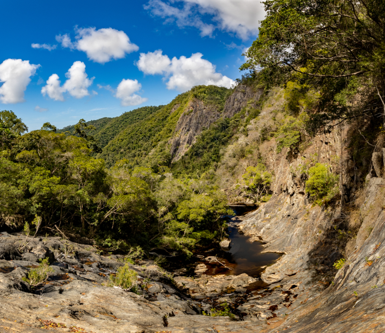 An image depicting the trail Bump Track and its surrounding area.