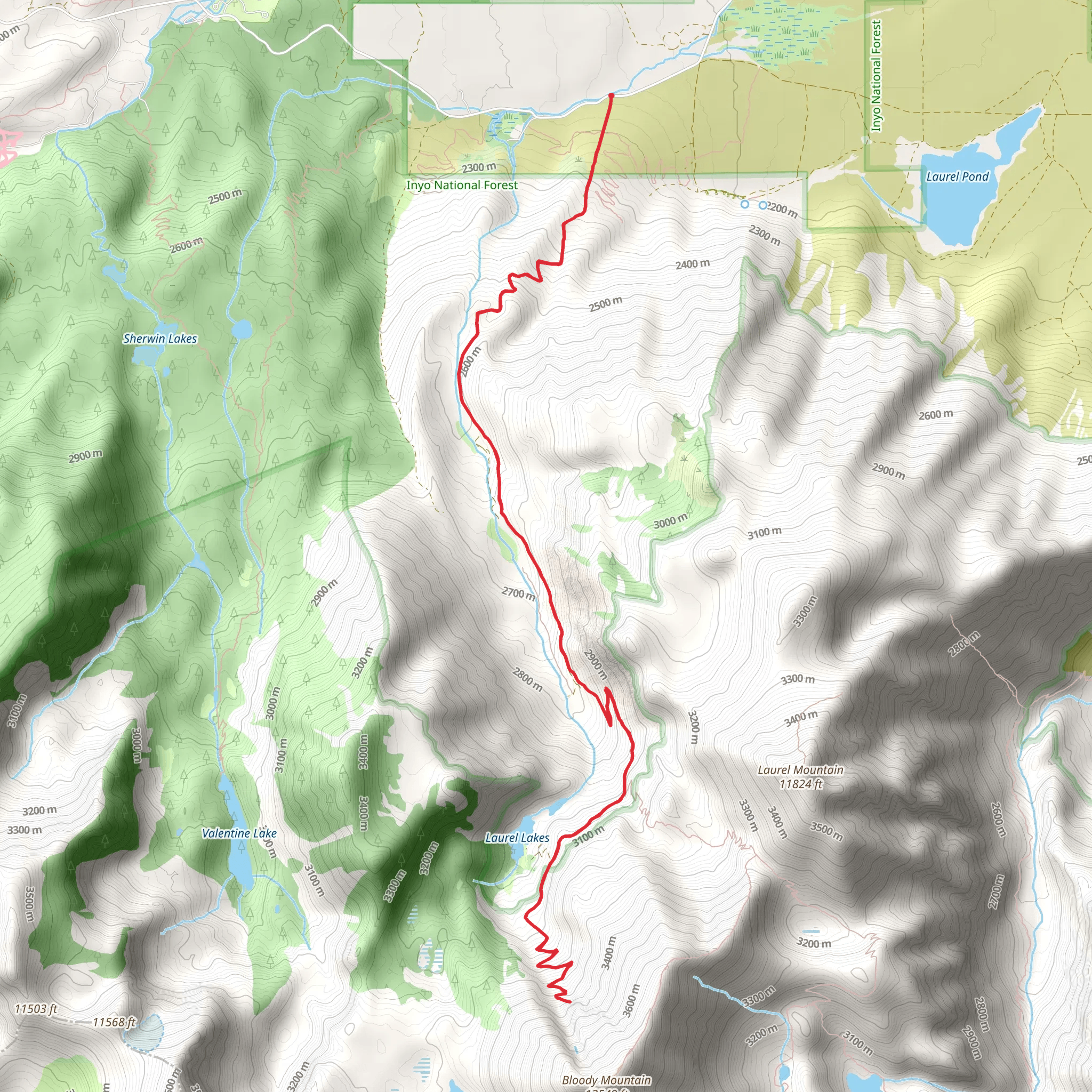 Walk along Laurel Creek mobile static map