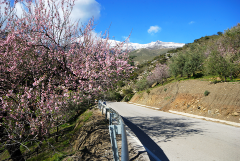 Gran Senda De Malaga