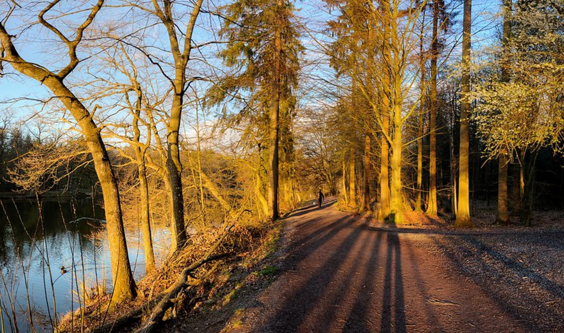 An image depicting the trail Pfaffensee, Rotwildpark bei Stuttgart and Bärensee Loop and its surrounding area.