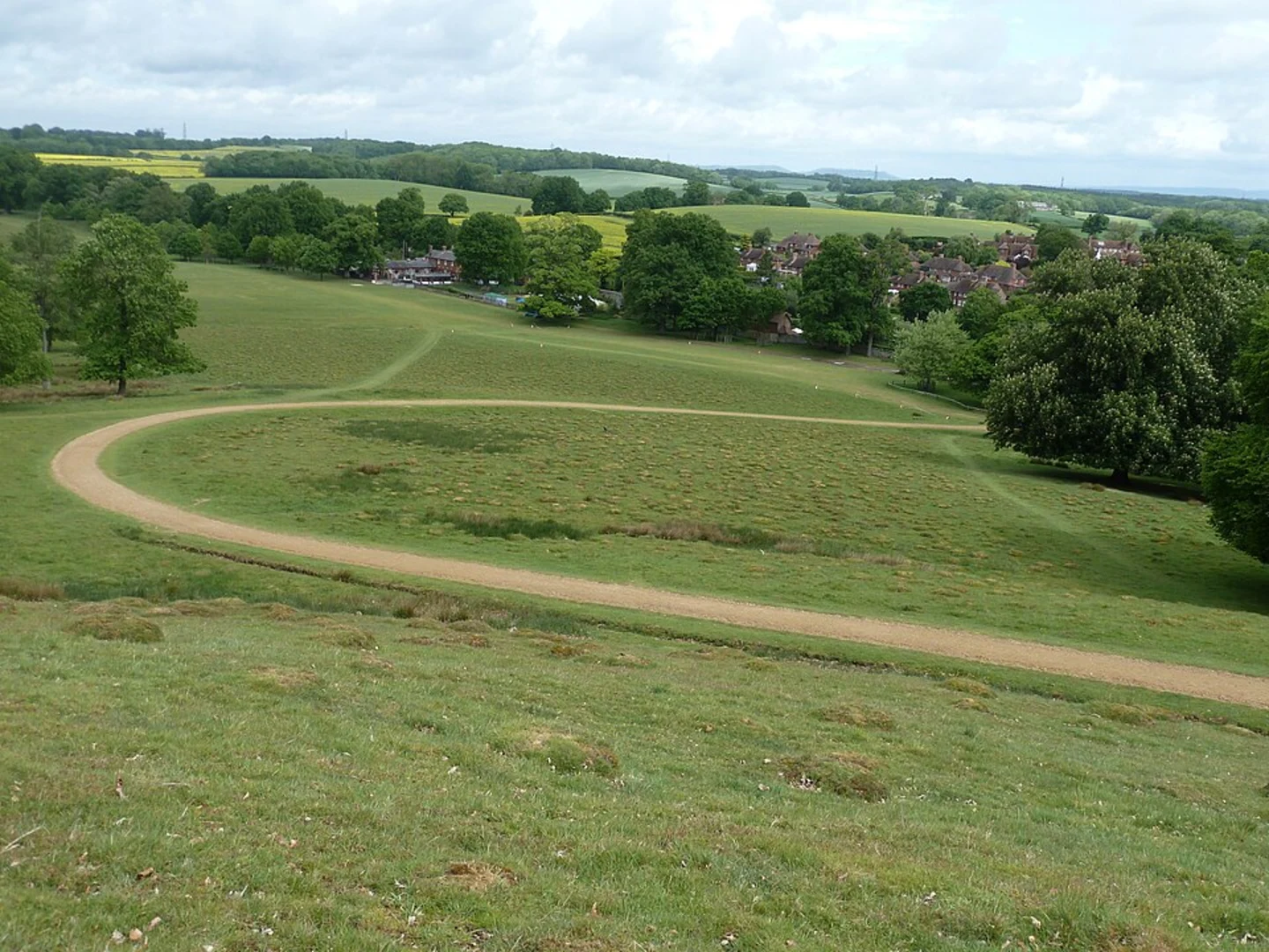 An image depicting the trail Petworth Park and Upper Pond Loop and its surrounding area.