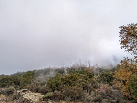 Cherry Gap East Walk