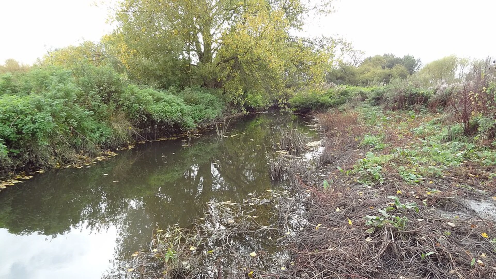 An image depicting the trail Goodshields Haugh and Clockburn Lake Loop and its surrounding area.