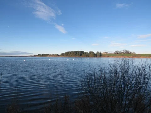 Cameron Reservoir Loop