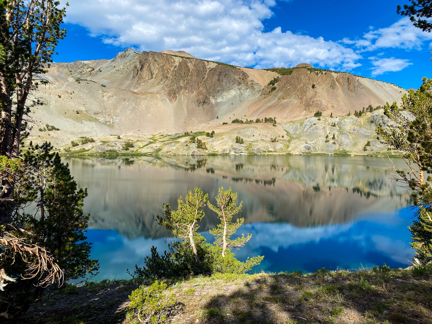 An image depicting the trail Leavitt Lake via PCT and its surrounding area.