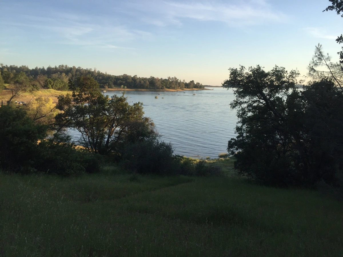 American River - Shady Trail and Middle Ridge Trail