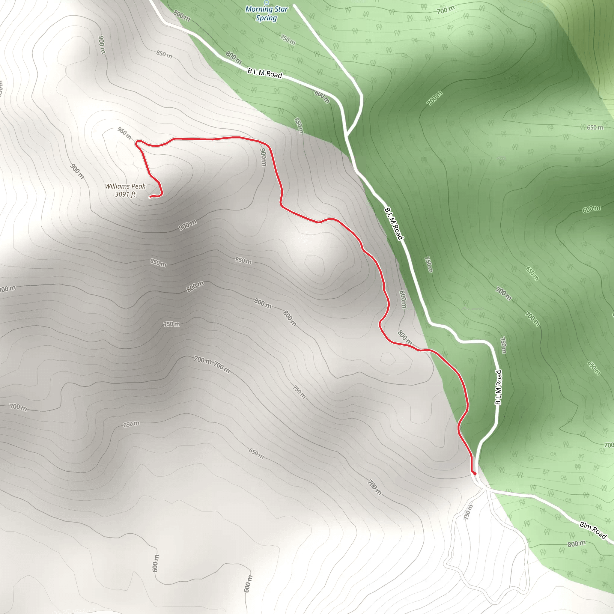 Williams Peak from BLM Road mobile static map