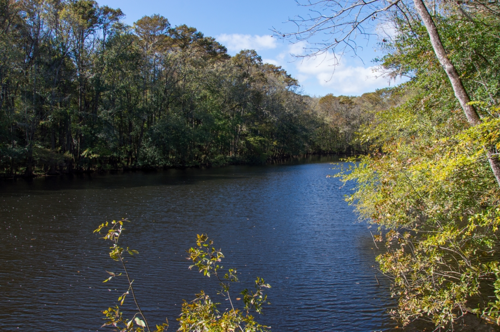 An image depicting the trail Wise Lake via Sims Trail and its surrounding area.