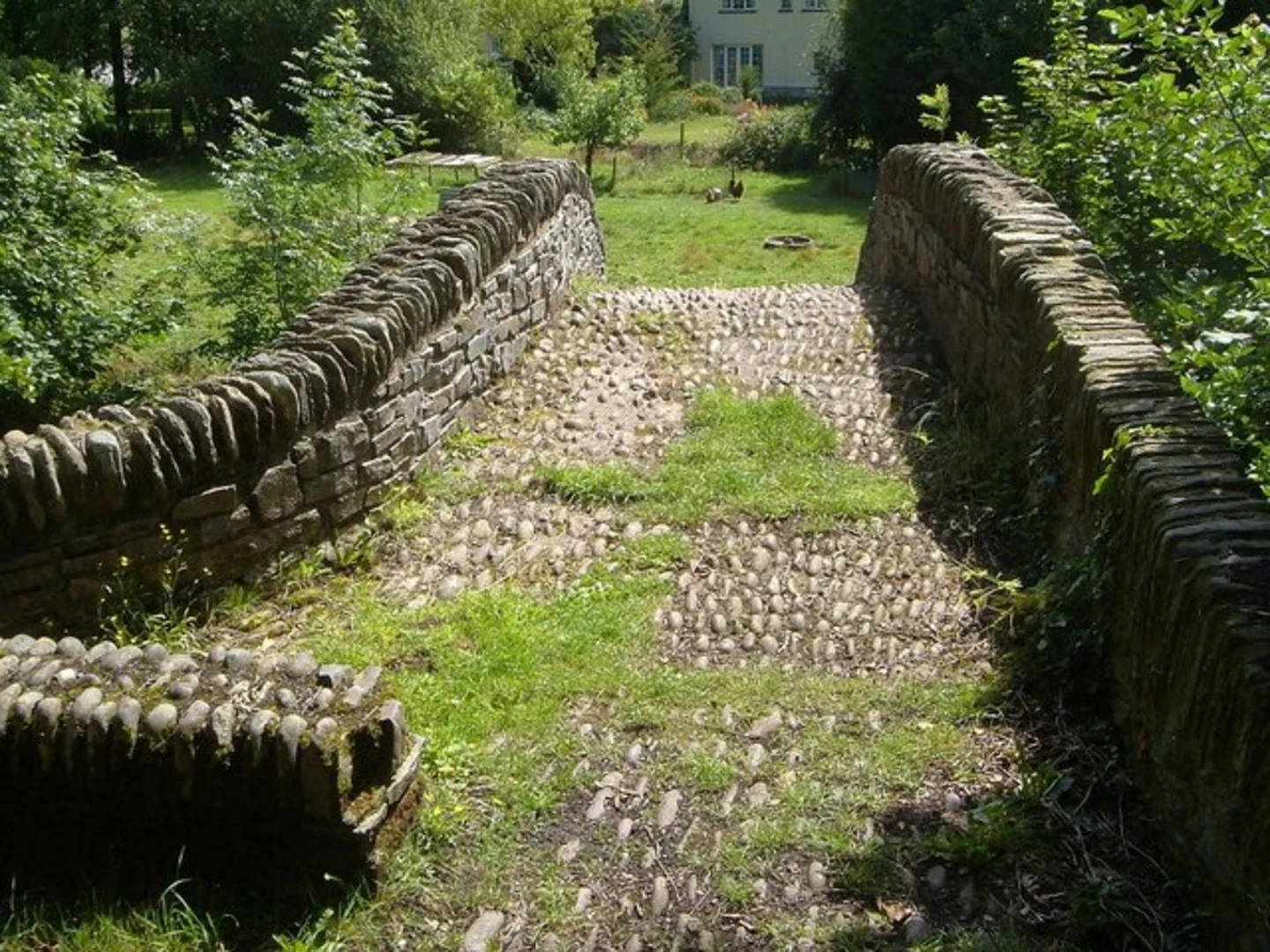 An image depicting the trail Wester Wood, East Lyn River and Brendon Loop and its surrounding area.