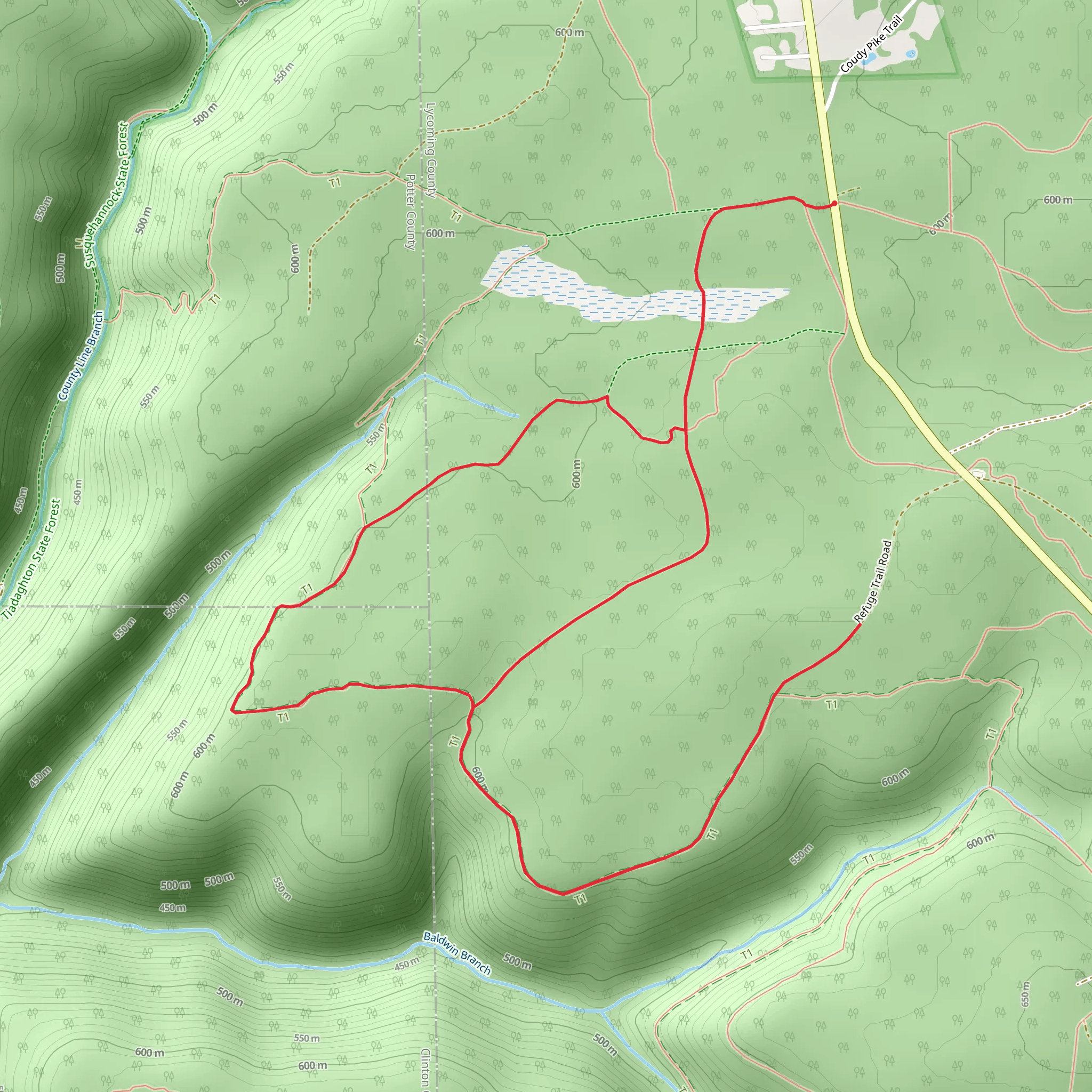 Baldwin Branch - Black Forest Trail mobile static map