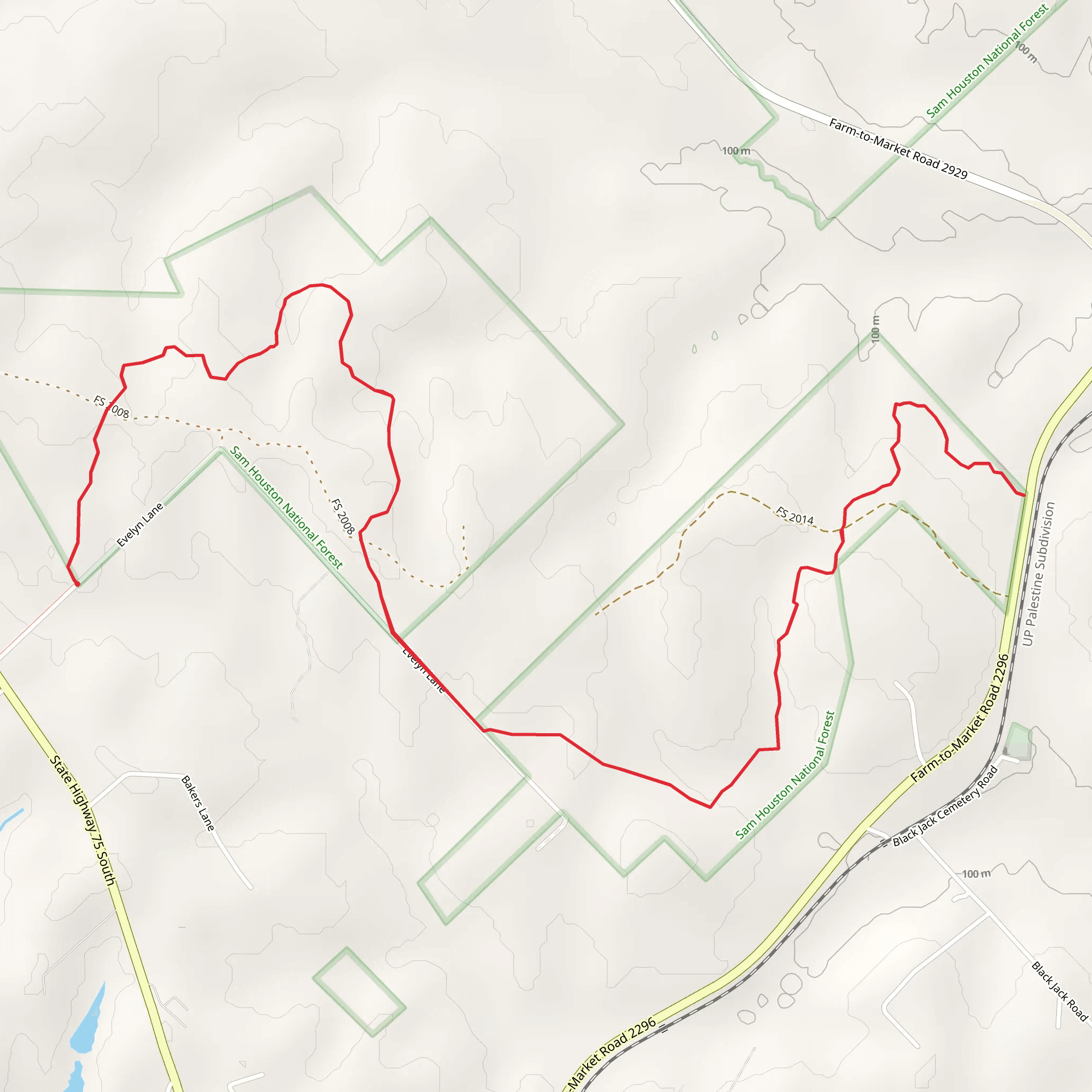 Lone Star Hiking Trail - Evelyn Lane mobile static map