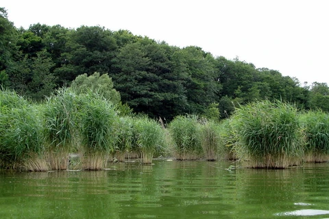An image depicting the trail Grosser Mueggelsee via Mueggel Spree Weg and Boelsche Wanderweg and its surrounding area.