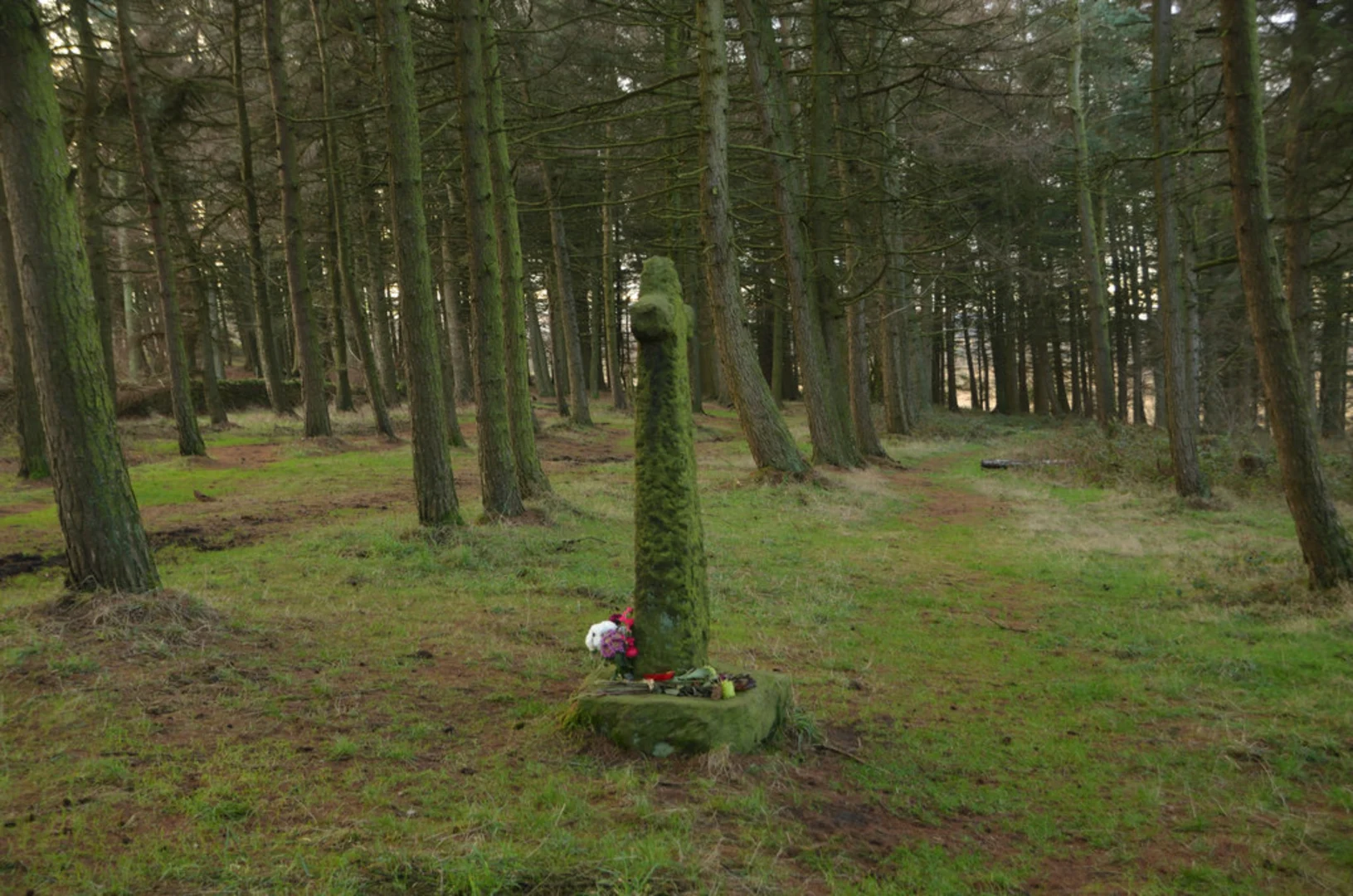 An image depicting the trail Shillito Woods - Ramsley Moor - Big Moor and its surrounding area.