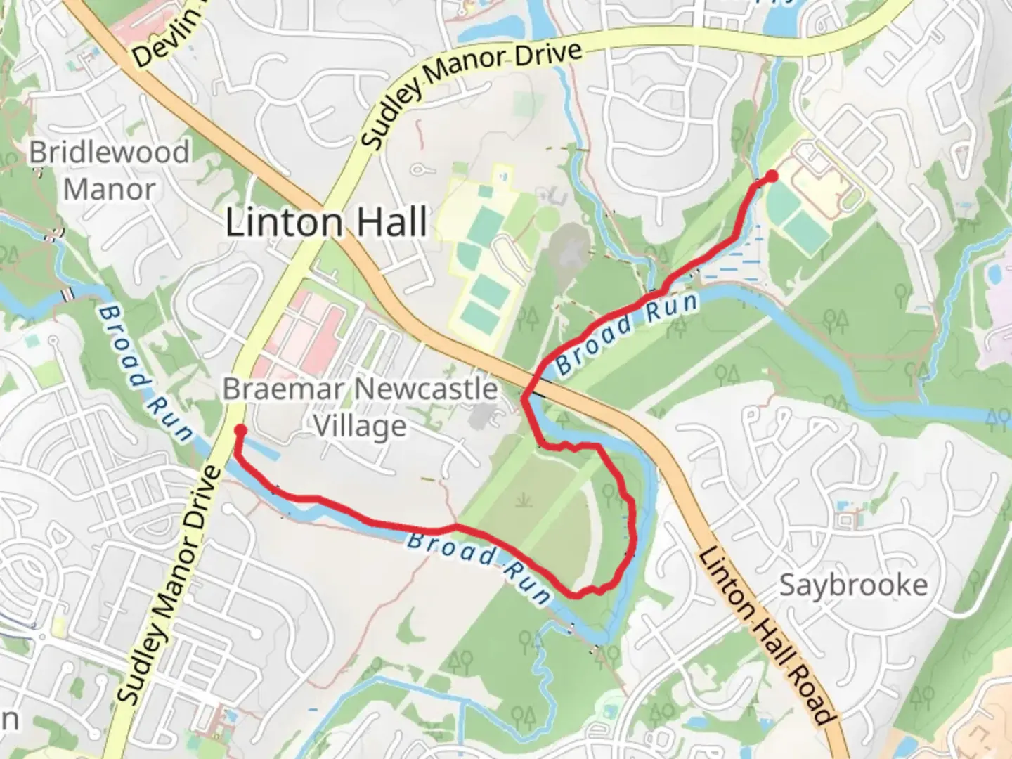 An image depicting the trail Board Run Trail and its surrounding area.