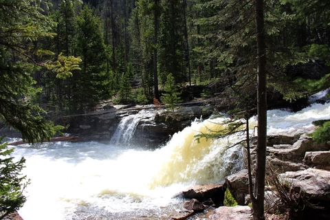 An image depicting the trail Copeland Falls Trail and its surrounding area.