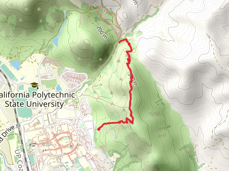 Yucca Ridge and Bob's Trail